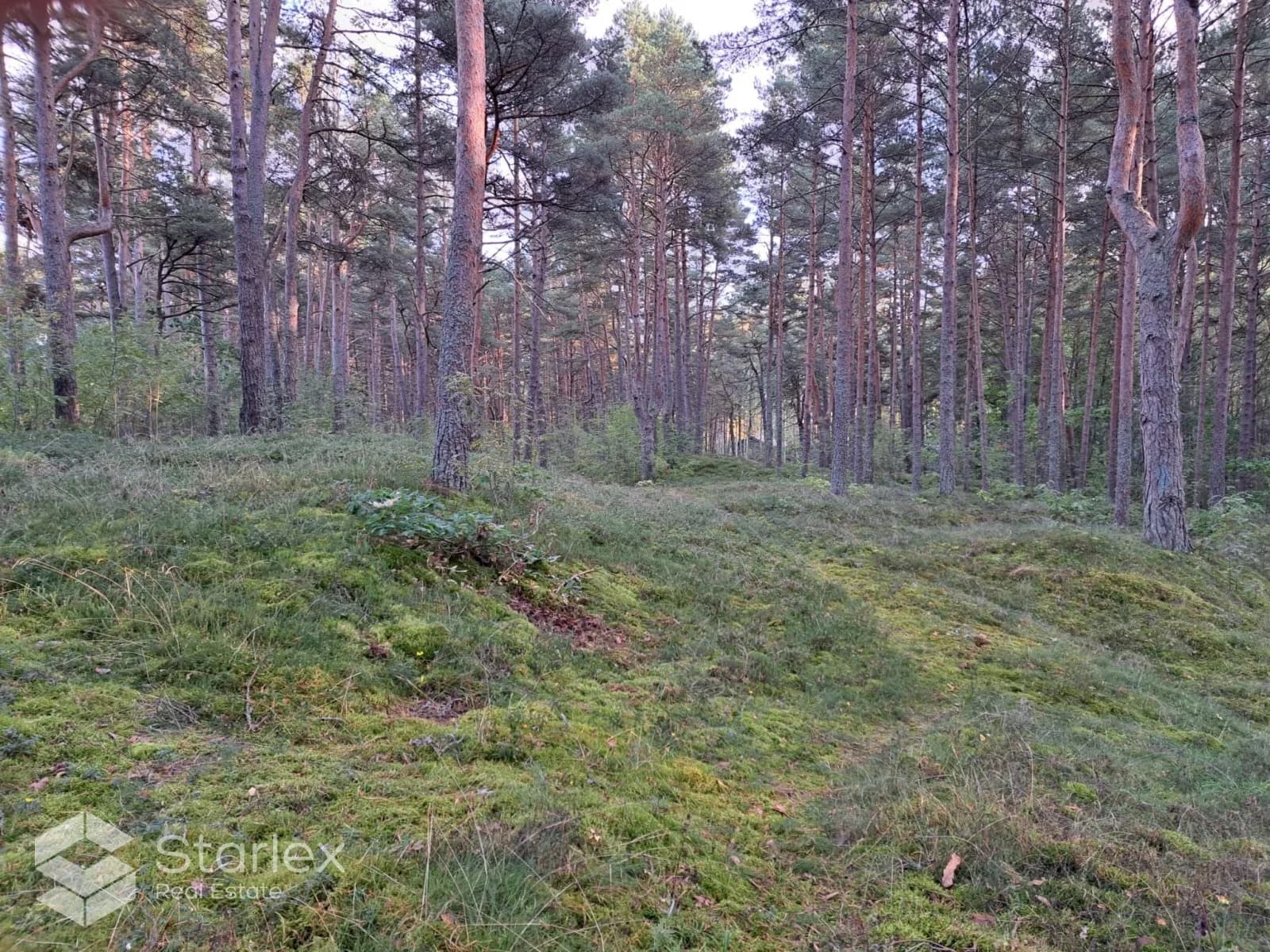 Niedru iela 9A, Tukuma novads