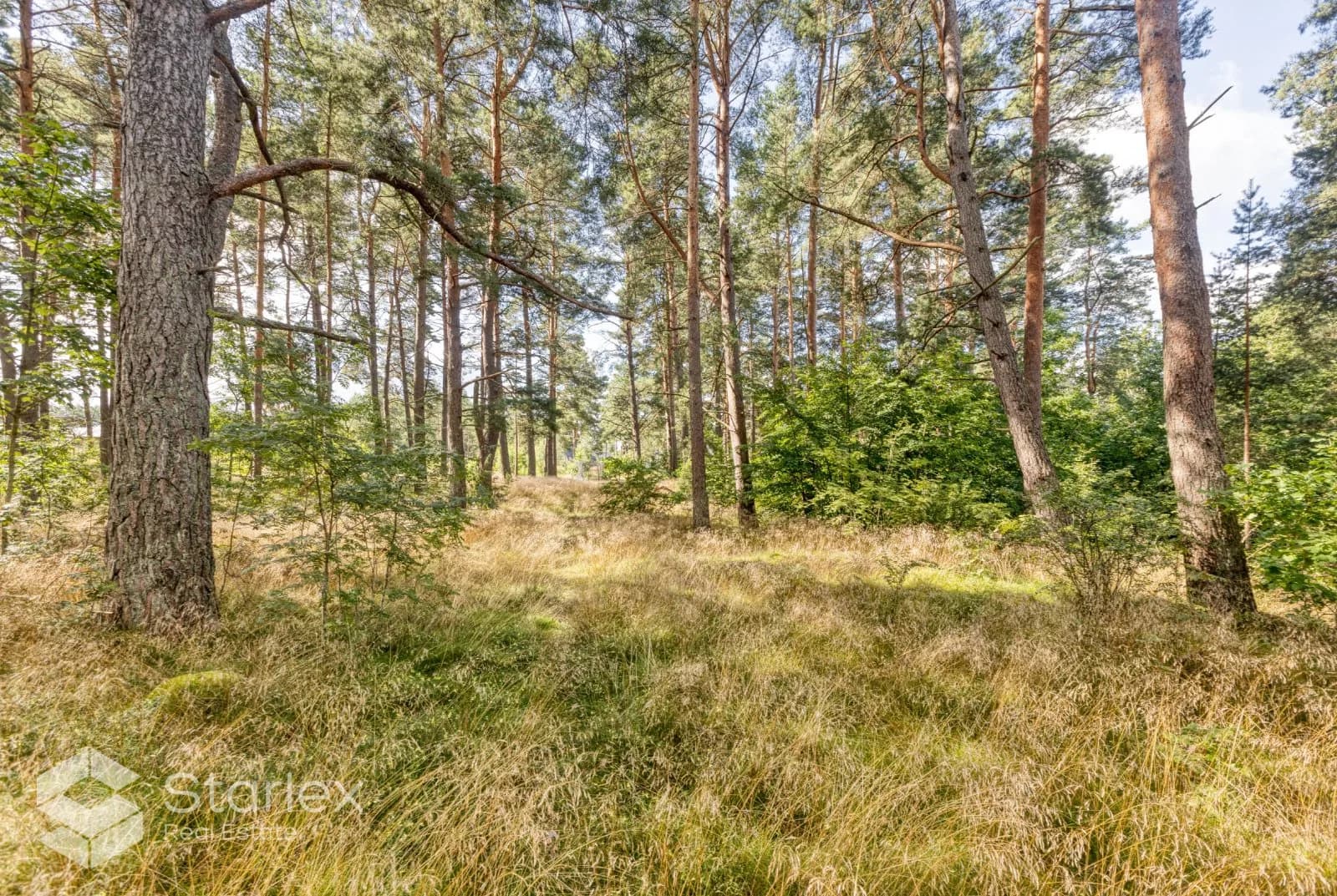 Land in Juniper